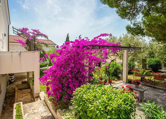 Daire Beautiful In With Wifi