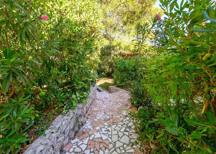 Beautiful In With Wifi